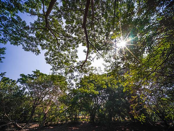 Laowa 12-24mm F5.6 轉接 FUJIFILM GFX50SI