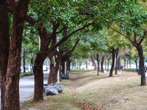 PENTAX FA 645 150mm F2.8 IF 轉接 FUJIFILM GFX50SII