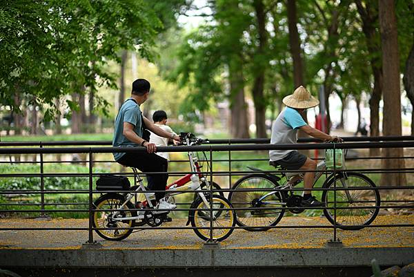 Nikon AF 85mm f1.4D IF轉接Nikon 