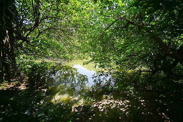 Zeiss 15mm f2.8 ZM轉接Nikon ZF隨拍