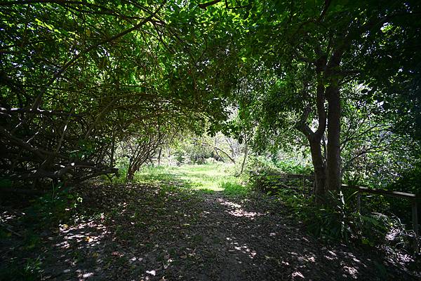 Zeiss 15mm f2.8 ZM轉接Nikon ZF隨拍