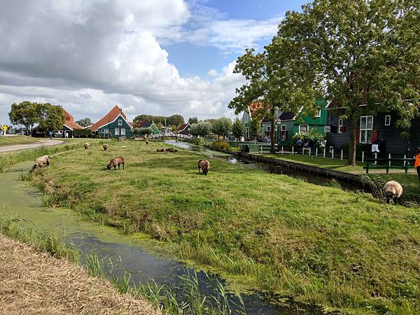 IMAG1368.jpg IMAG1368.jpg