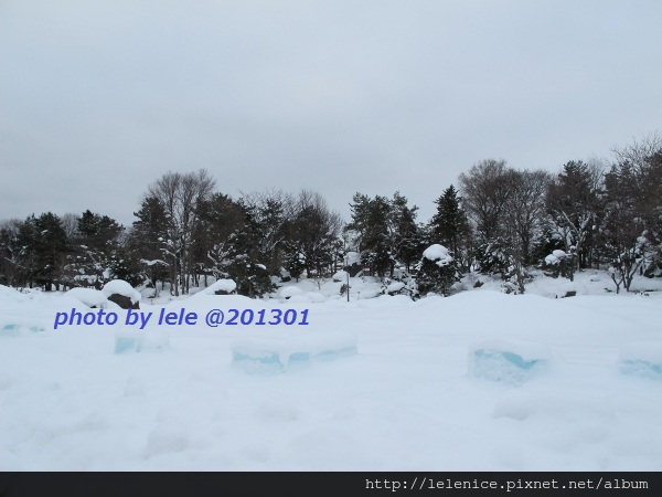 IMG_6636 (600x450) IMG_6636 (600x450)