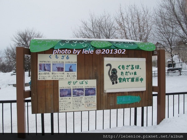 IMG_8978 (600x450) IMG_8978 (600x450)