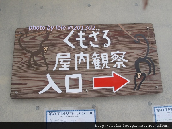 IMG_8979 (600x450) IMG_8979 (600x450)