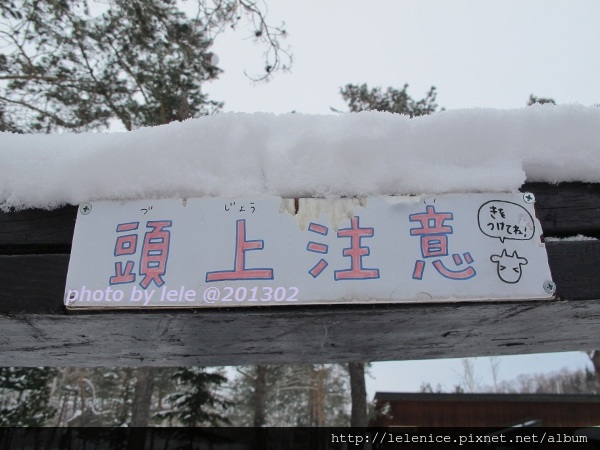 IMG_9014 (600x450) IMG_9014 (600x450)