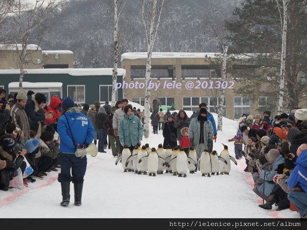 IMG_9107 (600x450) IMG_9107 (600x450)