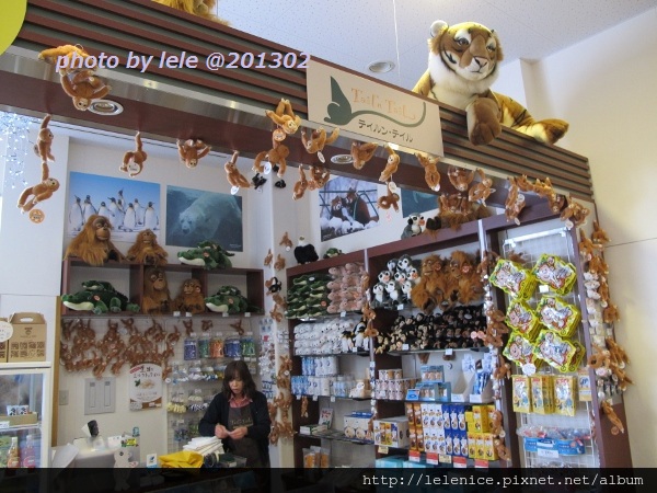 IMG_9160 (600x450) IMG_9160 (600x450)