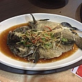 玉露蒸鮮魚.jpg