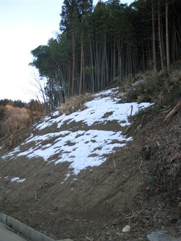 小小的積雪...二瓶桑說明天雪會更大....既期待但又怕影響拍攝行程....