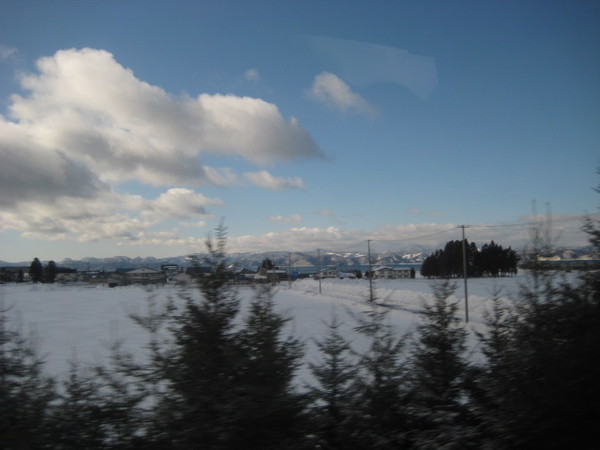 沒看一大片的雪地....