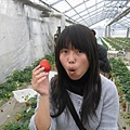 超大顆草莓...但是我的臉也太凹了吧....