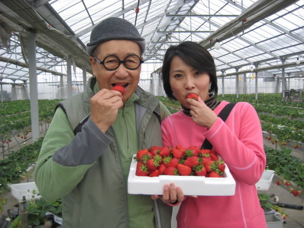 吃著超甜的草莓..爸感覺也...娘了起來....
