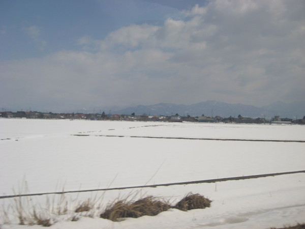 看到難得一見的大片雪地還是忍不住猛拍...