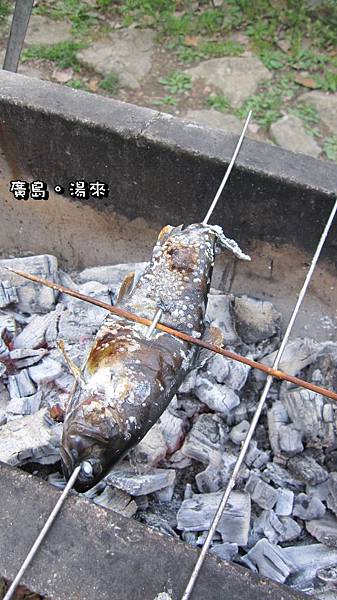 到日本一定要試看看的烤香魚~日本烤魚功夫一流~