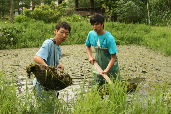 小鬼辛苦撈水草中....