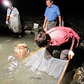 夜晚來到石滬抓魚去...