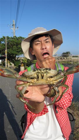 魚虎已經夠兇猛..聽說台南有一種〝蟳虎〞更可怕...牠竟然吃螃蟹!! 魚虎已經夠兇猛..聽說台南有一種〝蟳虎〞更可怕...牠竟然吃螃蟹!!