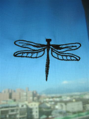 看著蜻蜓飛上藍天心情也變的很好...