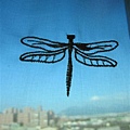 看著蜻蜓飛上藍天心情也變的很好...