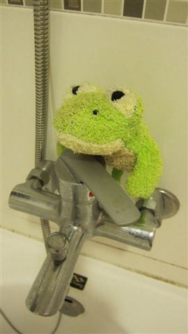 浴室內的刷背青蛙非常可愛...