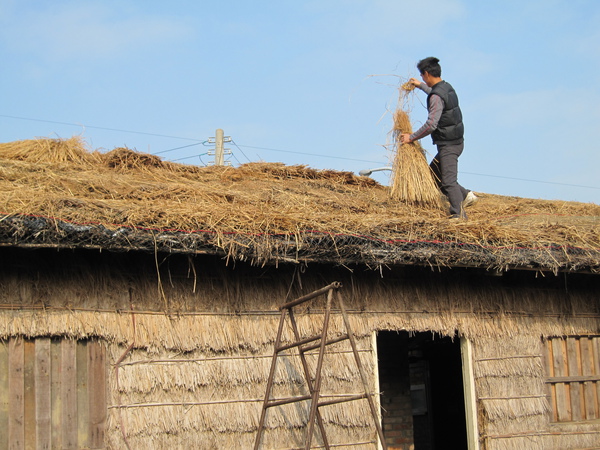 張大哥和爸爸一起親手蓋的稻草屋...