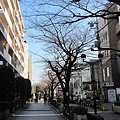 我真的很喜歡日本的街道...我想是因為有滿滿的行道樹吧!!