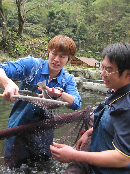 活棒亂跳的彩虹魚到底是什麼魚?