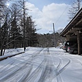 第三天來到藏王高原...滿地冰雪讓我們好驚喜...