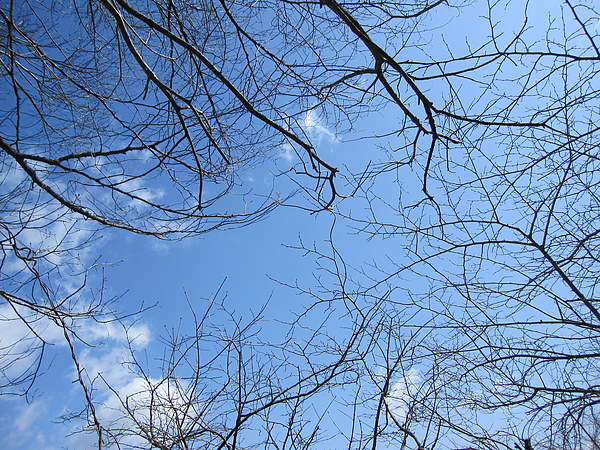 今日藏王的天空很藍很美...