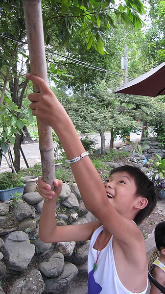 餘興時間...可憐的游小翔要打龍眼餵媽媽