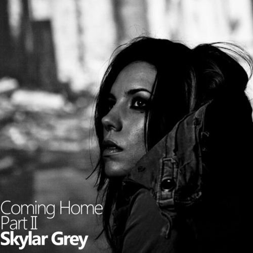 Skylar Grey - Coming Home Pt II