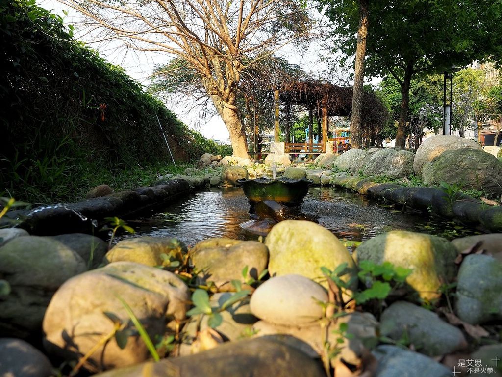 新北景點 花季不必捨近求遠賞櫻繡球花都在泰山步道花園黎明公園山腳公園 是艾思 不是火拳 痞客邦