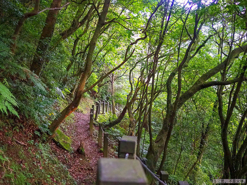 PA270100-2.jpg PA270100-2.jpg