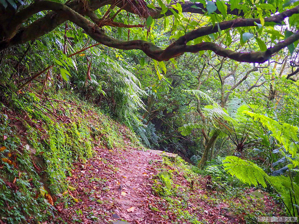 PA270104-2.jpg PA270104-2.jpg