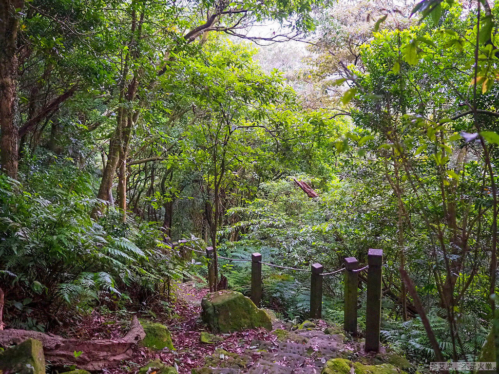 PA270098-2.jpg PA270098-2.jpg