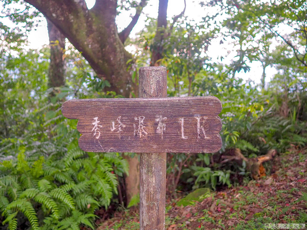 PA270096.jpg PA270096.jpg