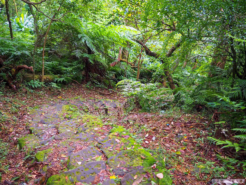 PA270106-2.jpg PA270106-2.jpg