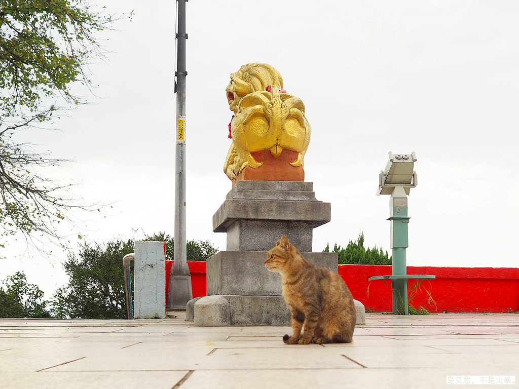 PA270003.jpg PA270003.jpg