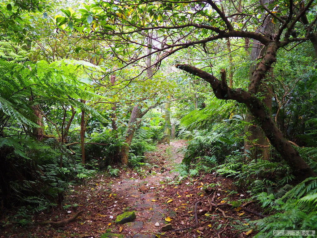 PA270107.JPG PA270107.JPG