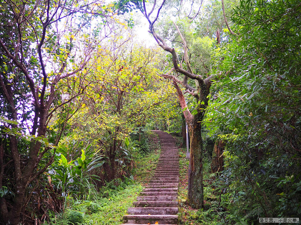 PA270012.jpg PA270012.jpg