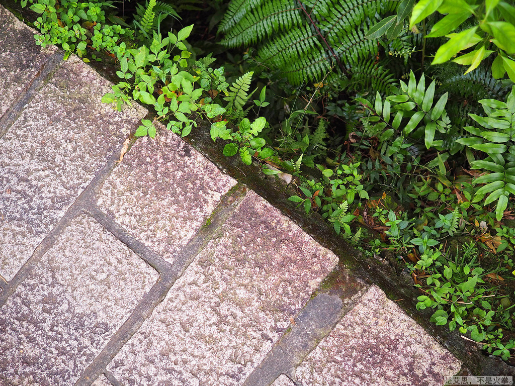 PA270027.jpg PA270027.jpg