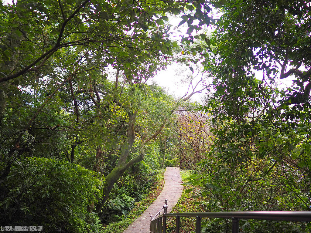 PA270016.jpg PA270016.jpg