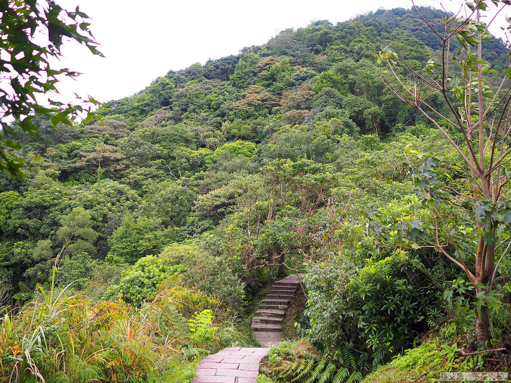 PA270022.jpg PA270022.jpg