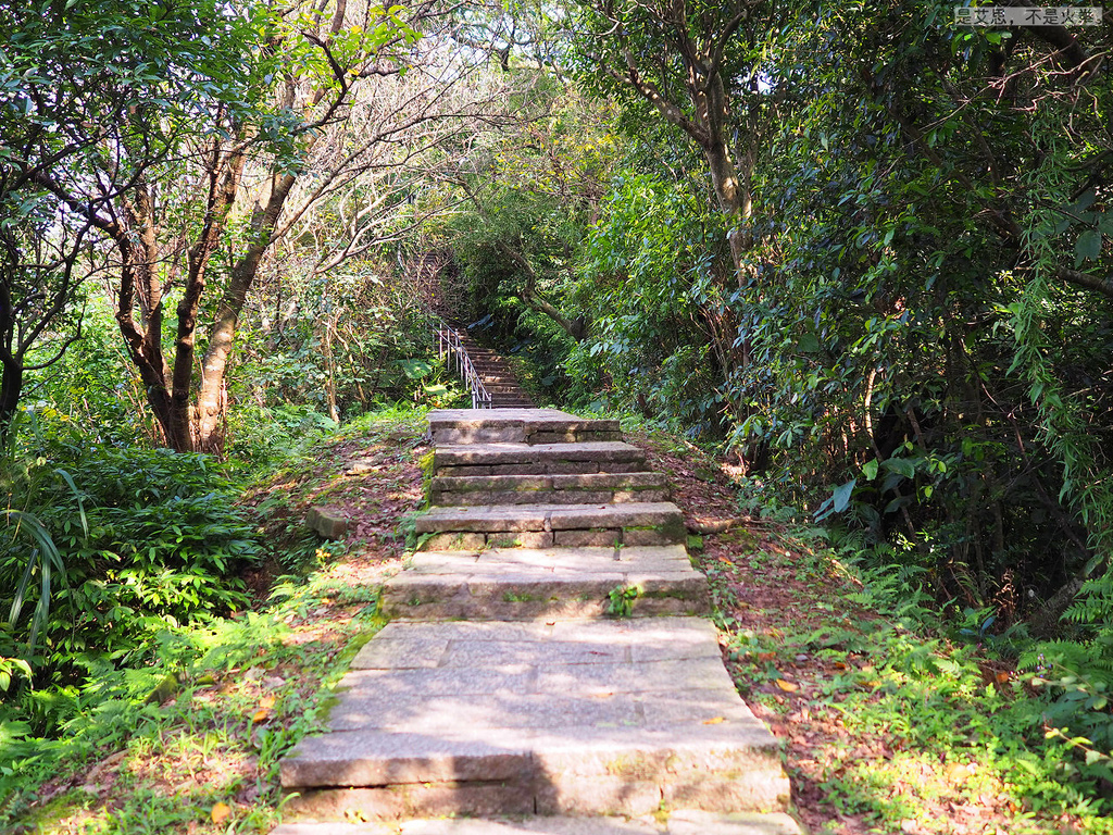 PA270013.jpg PA270013.jpg