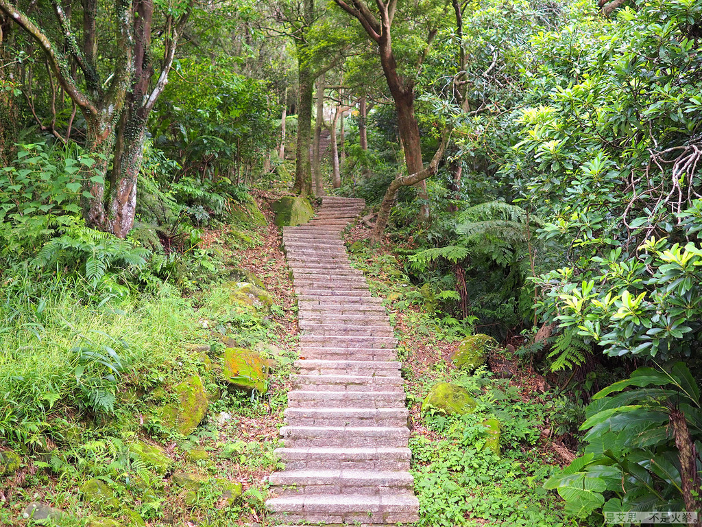 PA270038.jpg PA270038.jpg