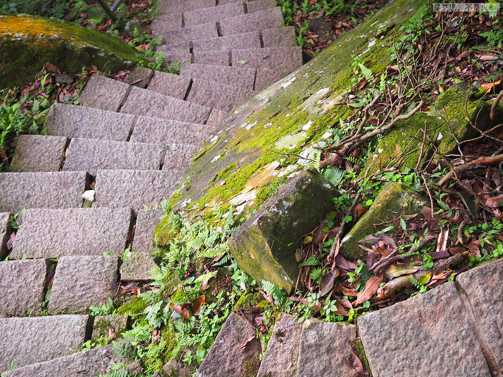 PA270043.jpg PA270043.jpg