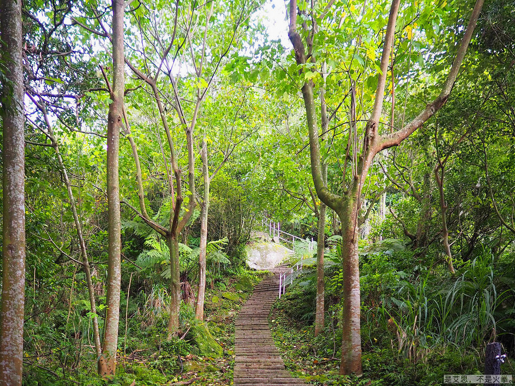 PA270039.jpg PA270039.jpg