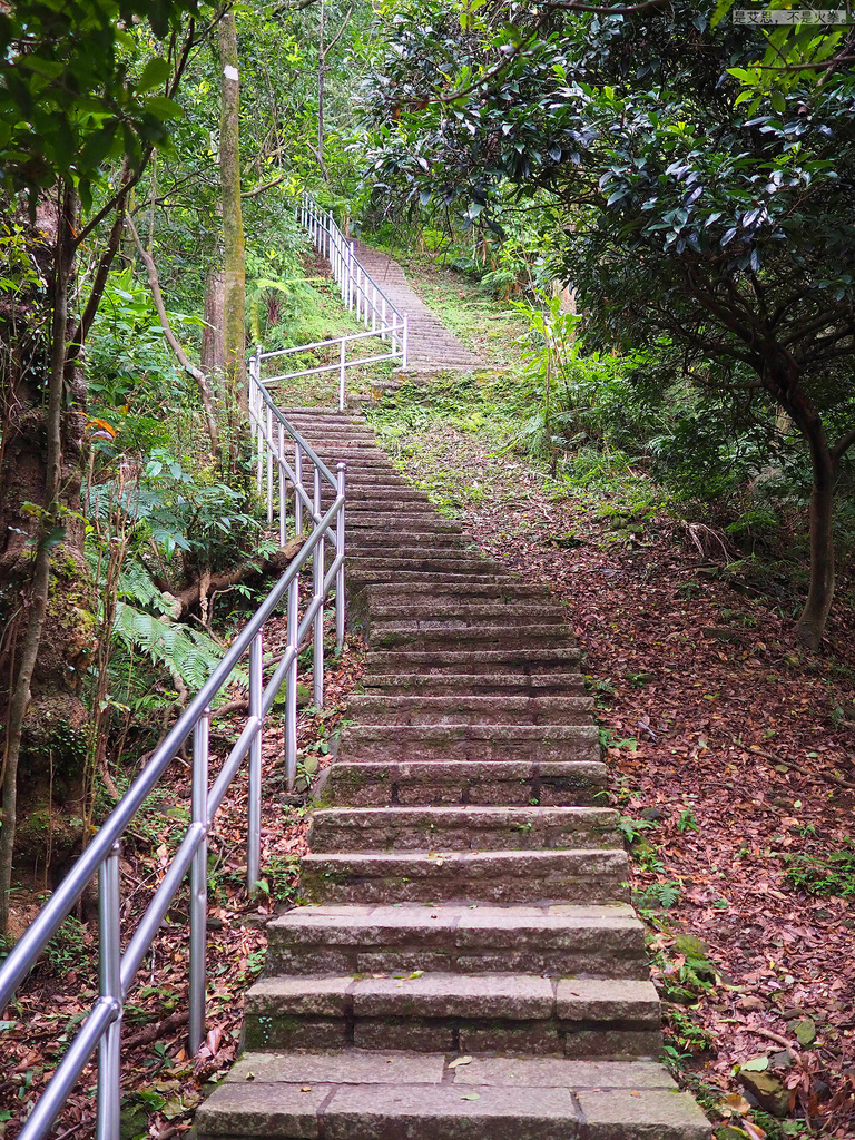 PA270028.jpg PA270028.jpg