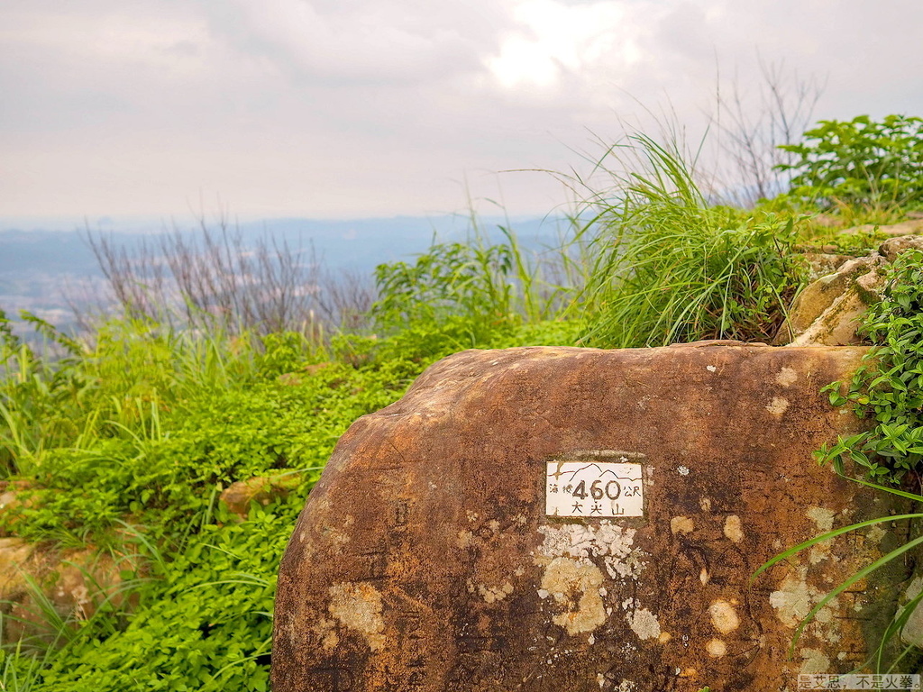 PA270082.jpg PA270082.jpg